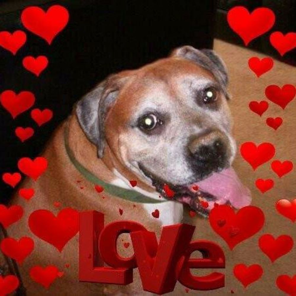 Meet your Posher, Claudette